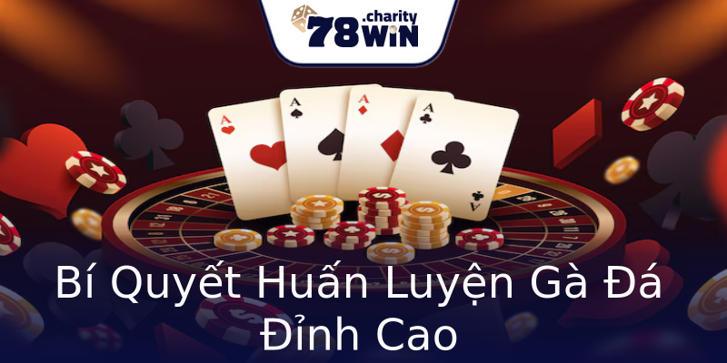 Bí Quyết Huấn Luyện Gà Đá Đỉnh Cao Bí Quyết Huấn Luyện Gà Đá Đỉnh Cao