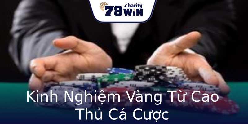 Kinh Nghiệm Vàng Từ Cao Thủ Cá Cược Kinh Nghiệm Vàng Từ Cao Thủ Cá Cược