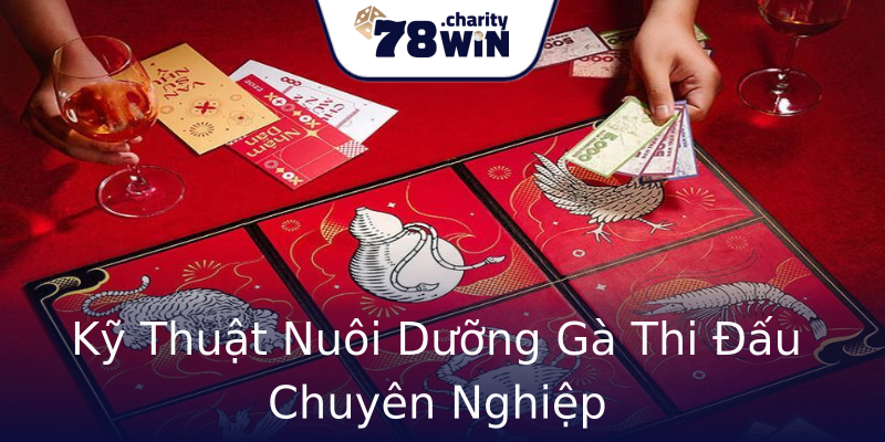 Kỹ Thuật Nuôi Dưỡng Gà Thi Đấu Chuyên Nghiệp Kỹ Thuật Nuôi Dưỡng Gà Thi Đấu Chuyên Nghiệp