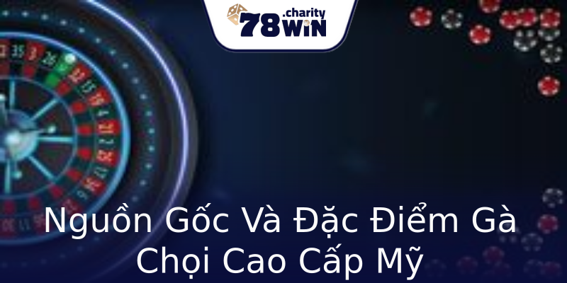Nguồn Gốc Và Đặc Điểm Gà Chọi Cao Cấp Mỹ Nguồn Gốc Và Đặc Điểm Gà Chọi Cao Cấp Mỹ
