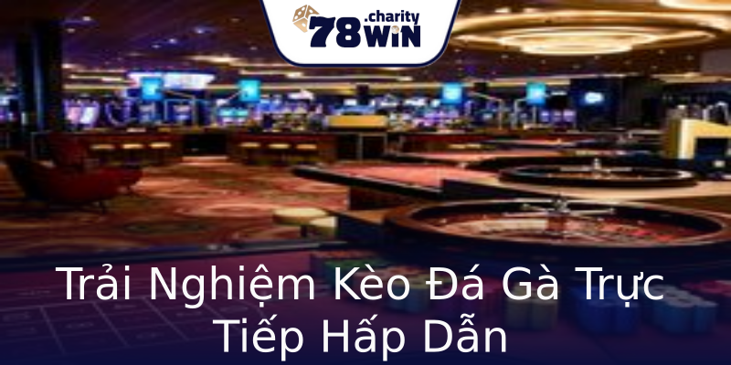 Trải Nghiệm Kèo Đá Gà Trực Tiếp Hấp Dẫn Trải Nghiệm Kèo Đá Gà Trực Tiếp Hấp Dẫn