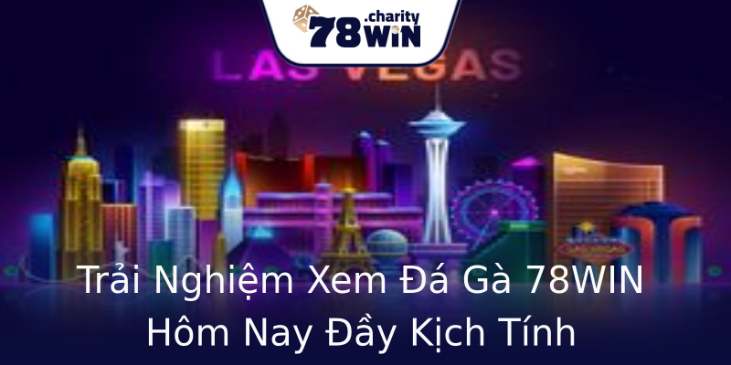 Trải Nghiệm Xem Đá Gà 78WIN Hôm Nay Đầy Kịch Tính Trải Nghiệm Xem Đá Gà 78WIN Hôm Nay Đầy Kịch Tính
